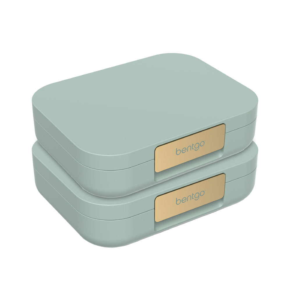 bentgo-modern-lunch-box-2-pack-d2 BGOMD2P-MG-01.jpg