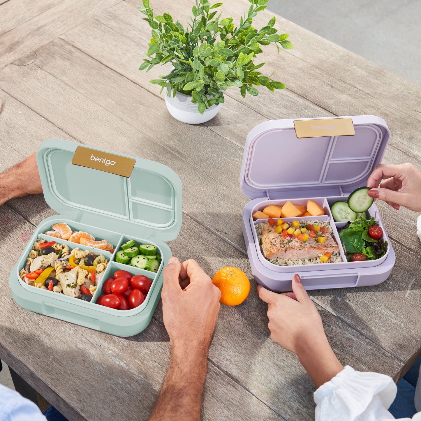 bentgo-modern-lunch-box-2-pack-r9 COSTCOBMCPRODUCTIMAGE_2.jpg